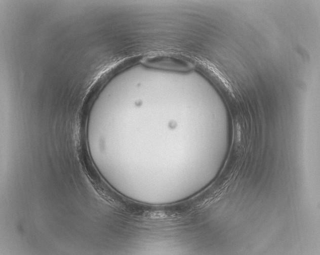 X0000116390588200912231111