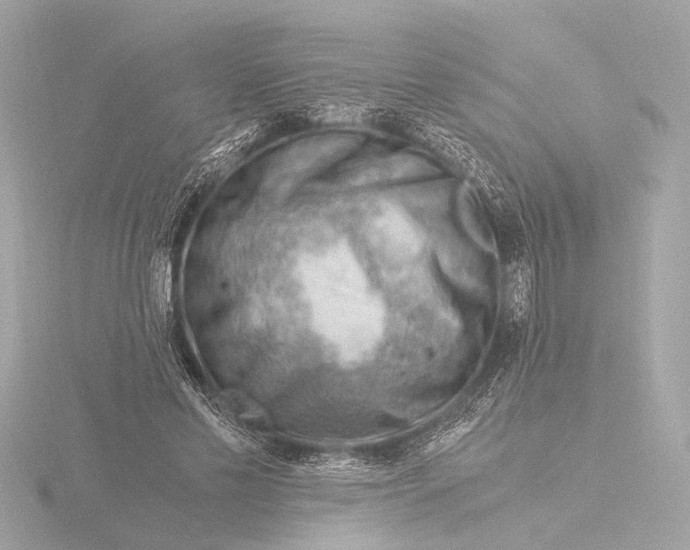 X0000116390589200912231111