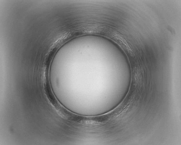 X0000116390590200912231111