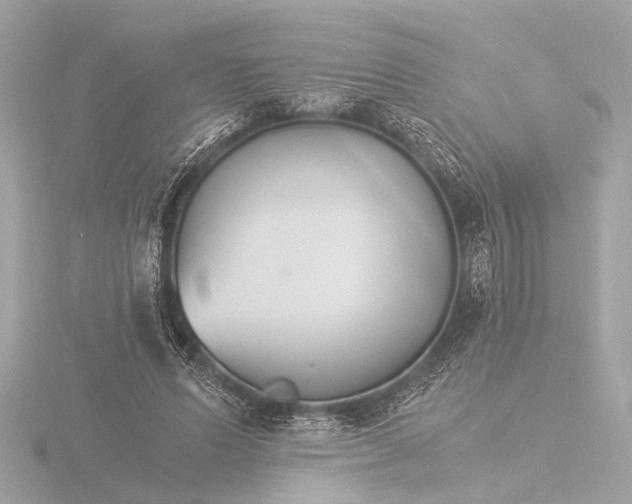 X0000116390591200912231111