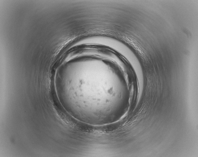 X0000116390592200912231111