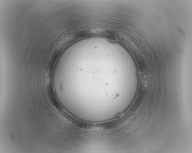 X0000116390593200912231111