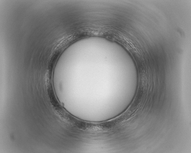 X0000116390594200912231111