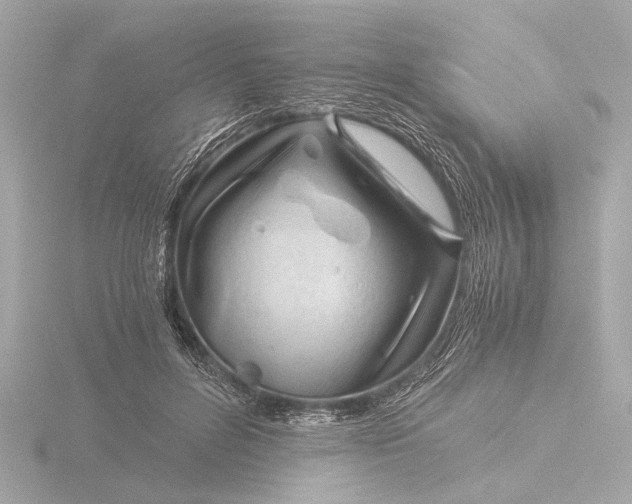 X0000116390600200912231111