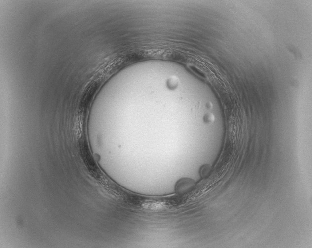 X0000116390602200912231111