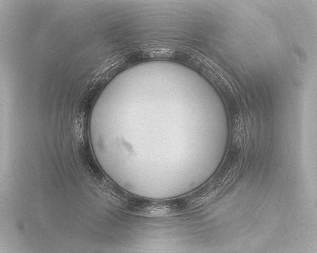 X0000116390604200912231111