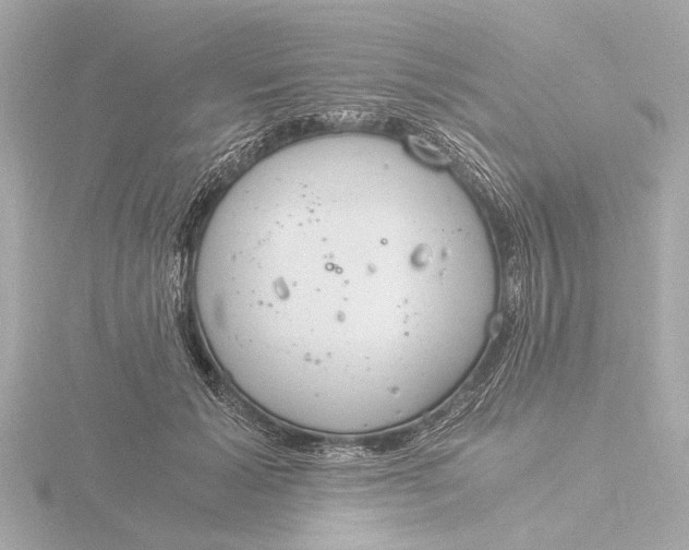 X0000116390605200912231111