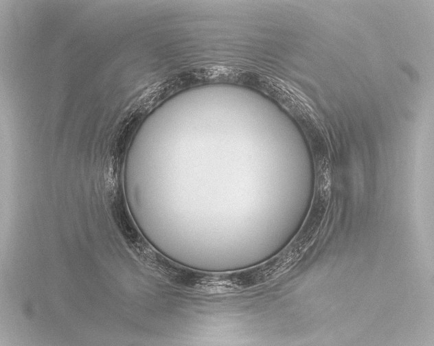 X0000116390607200912231111