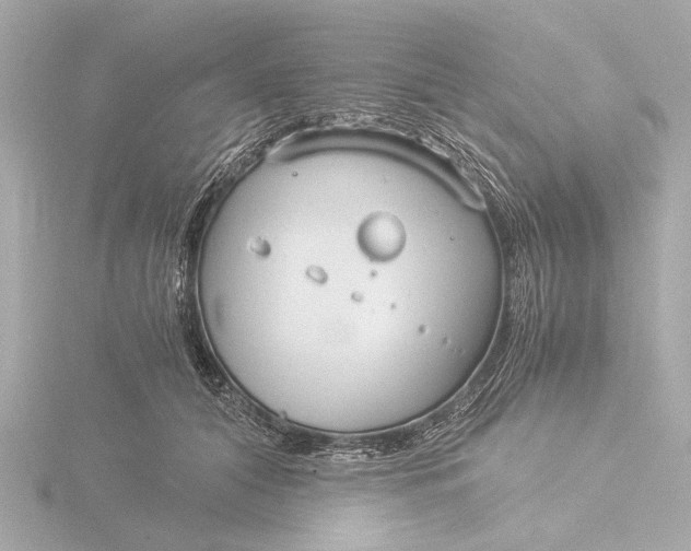 X0000116390608200912231111