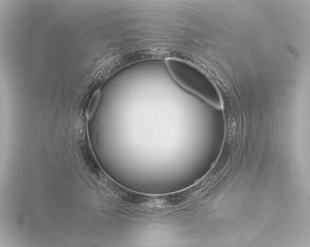 X0000116390609200912231111