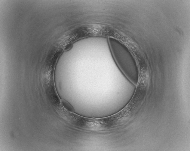 X0000116390611200912231110