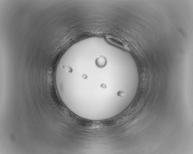 X0000116390612200912231110