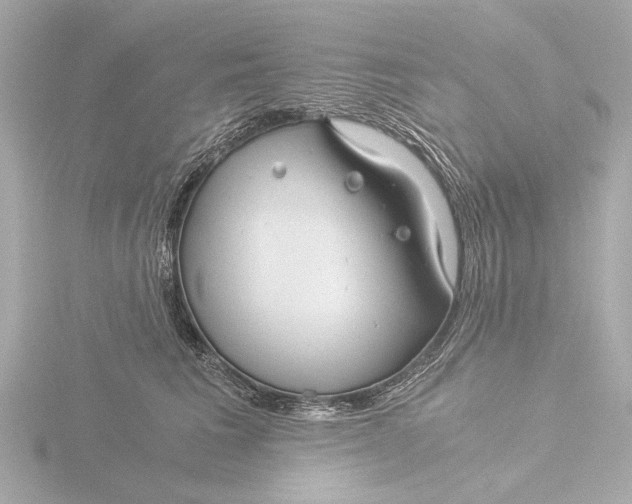 X0000116390613200912231110