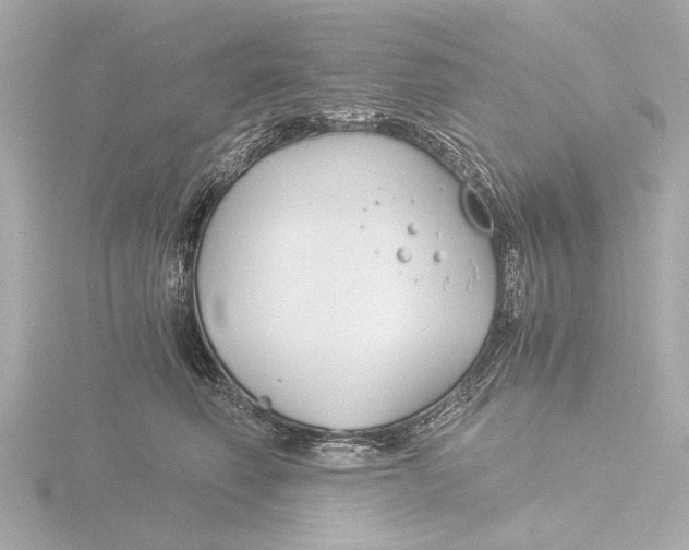 X0000116390614200912231110