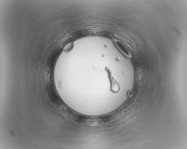 X0000116390615200912231110