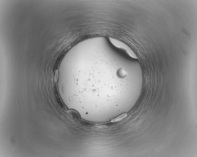 X0000116390617200912231110