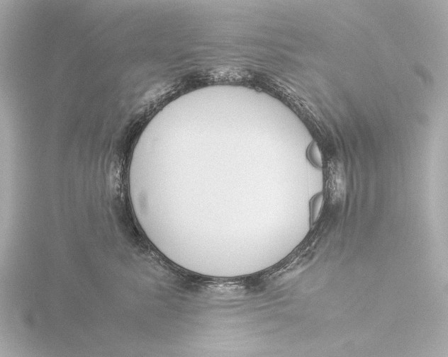 X0000116390619200912231110