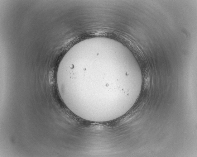 X0000116390620200912231110