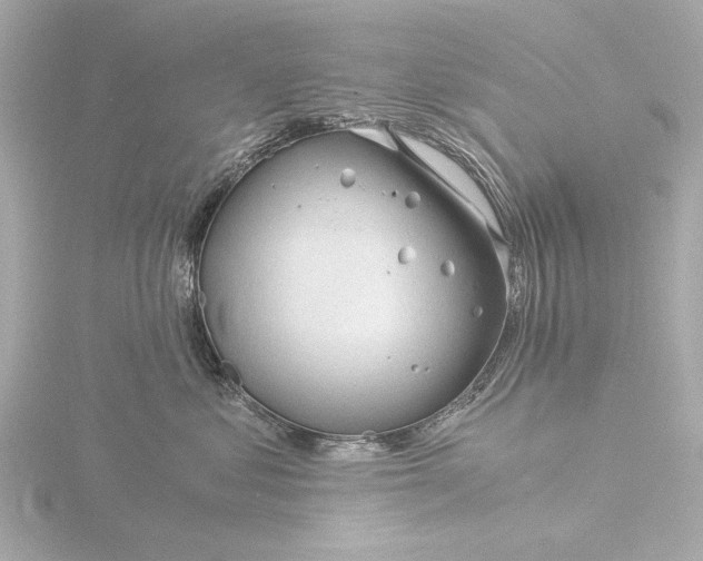 X0000116390621200912231110