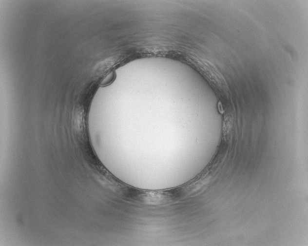 X0000116390623200912231110