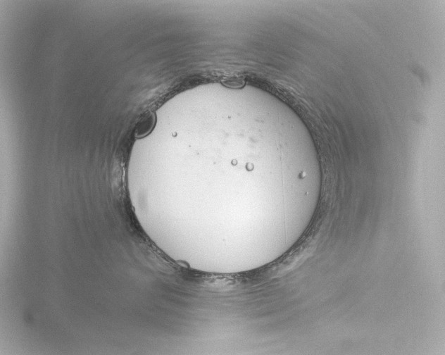 X0000116390624200912231110