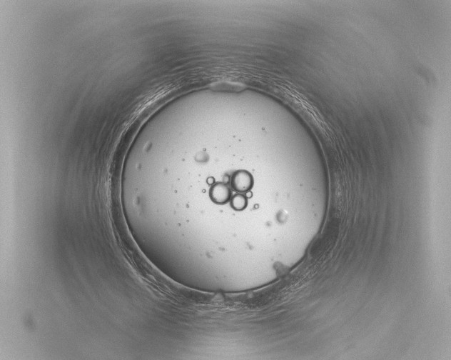 X0000116390626200912231110