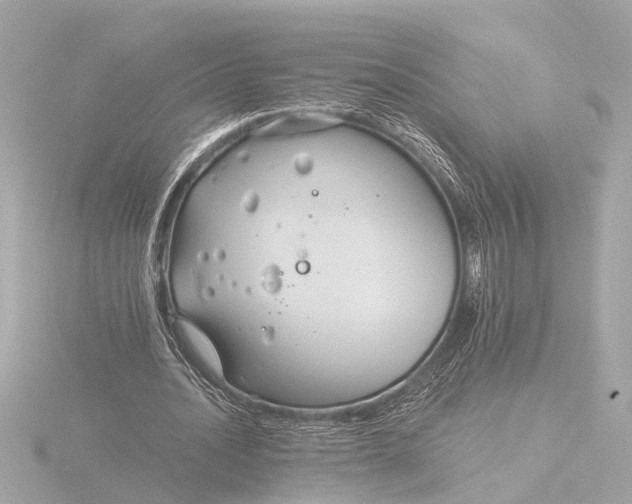 X0000116390628200912231110