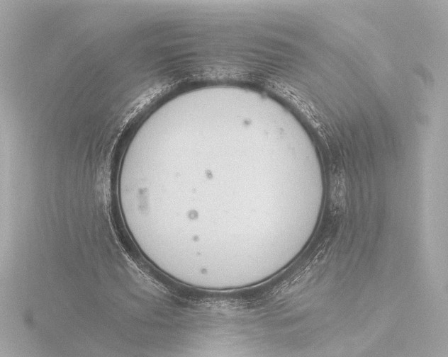 X0000116390629200912231110