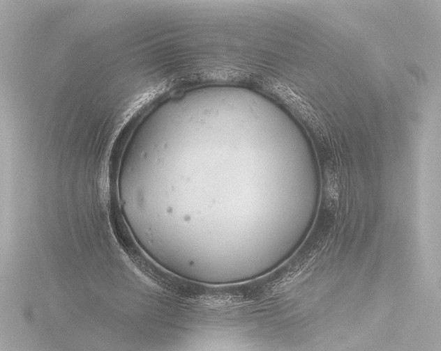 X0000116390630200912231110