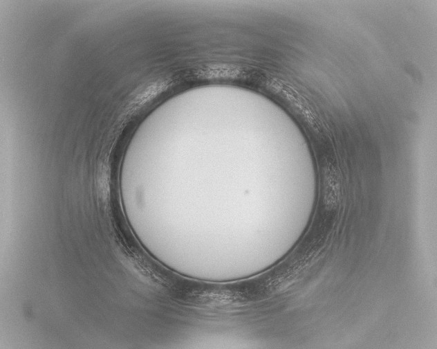 X0000116390631200912231110