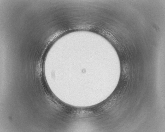 X0000116390632200912231110