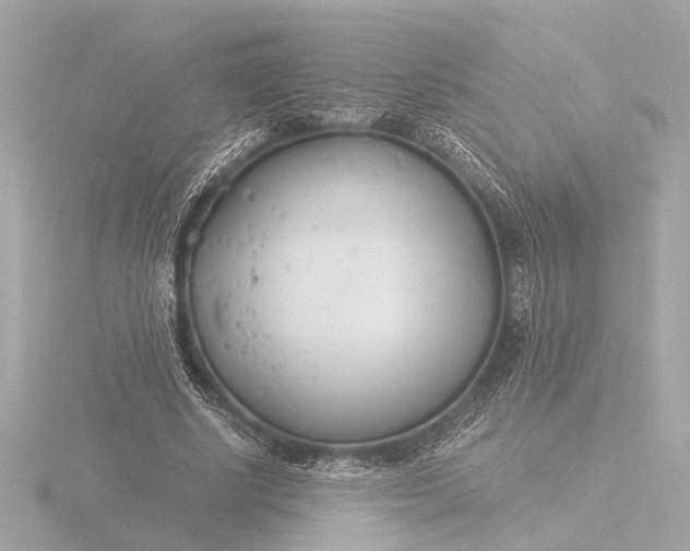 X0000116390634200912231110