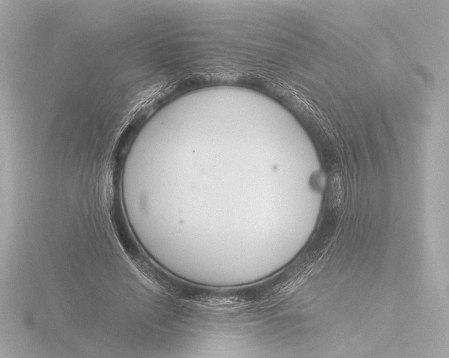 X0000116390638200912231110