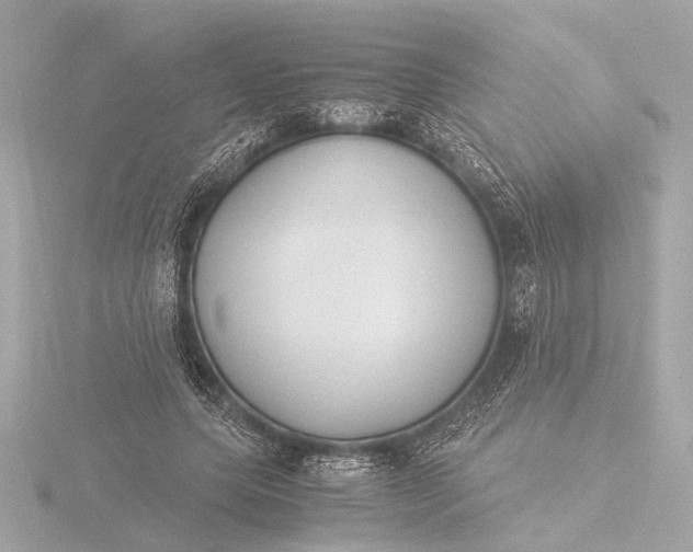 X0000116390639200912231110