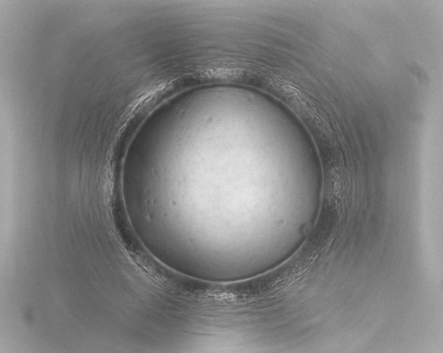 X0000116390640200912231110