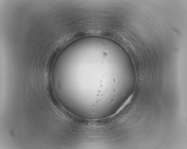 X0000116390641200912231110