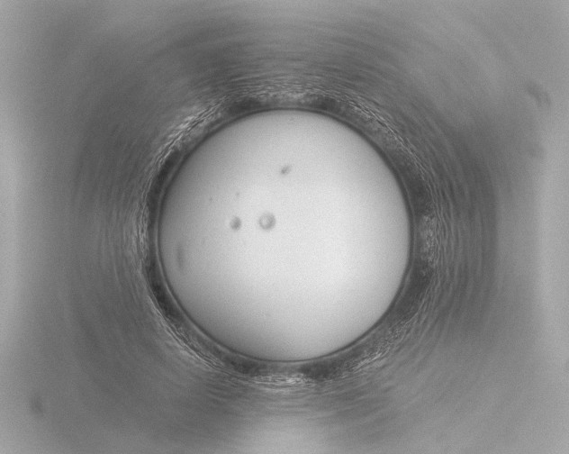 X0000116390642200912231110