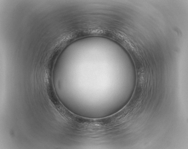 X0000116390643200912231110