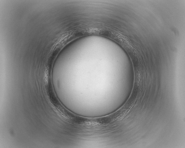 X0000116390644200912231110