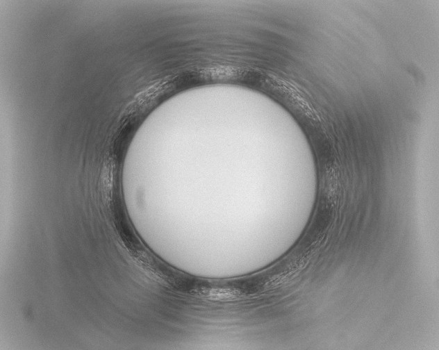 X0000116390645200912231110