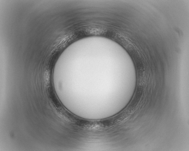 X0000116390646200912231110