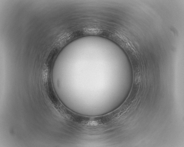 X0000116390647200912231110