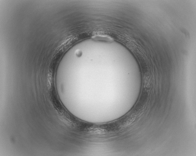 X0000116390648200912231110