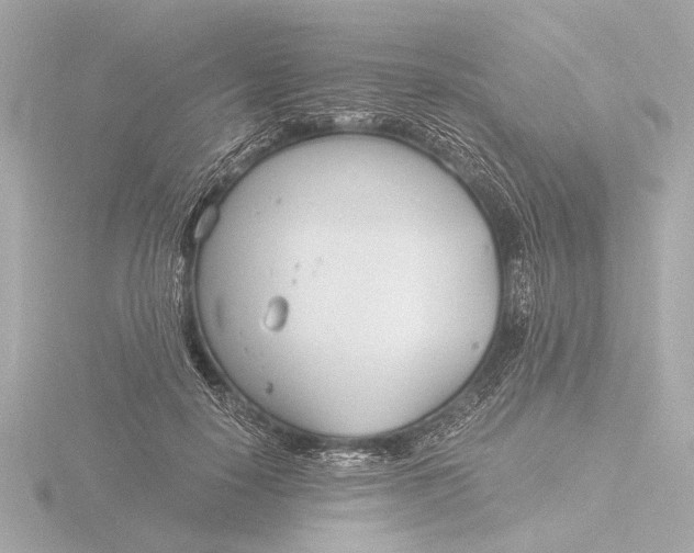 X0000116390650200912231110