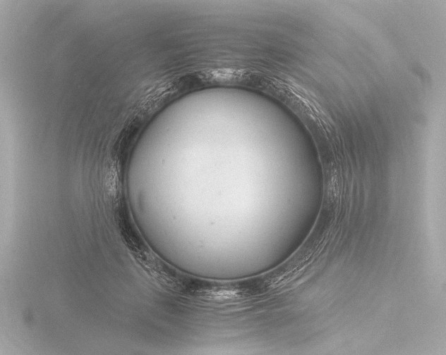 X0000116390651200912231110