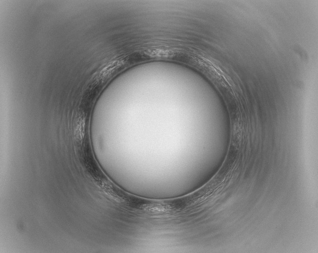 X0000116390652200912231110