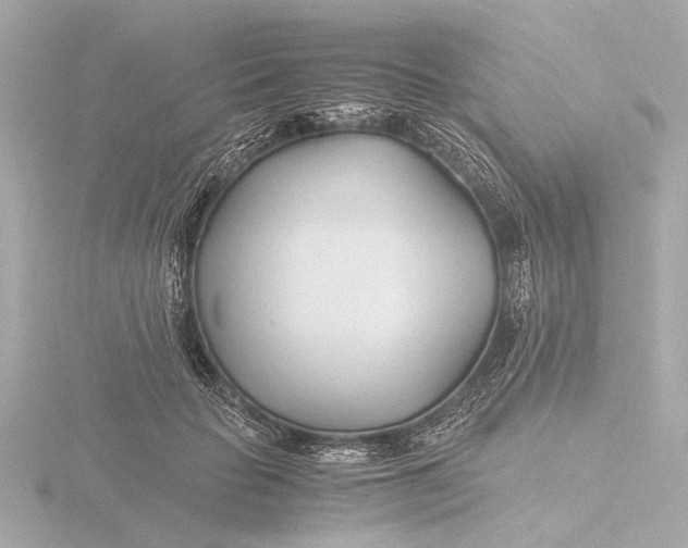 X0000116390653200912231110