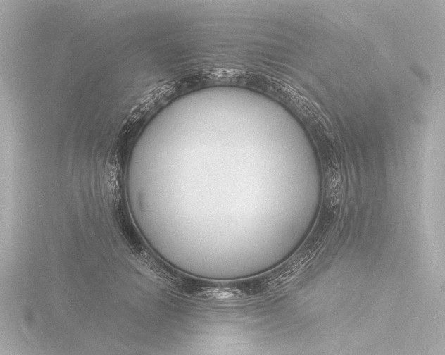 X0000116390654200912231110