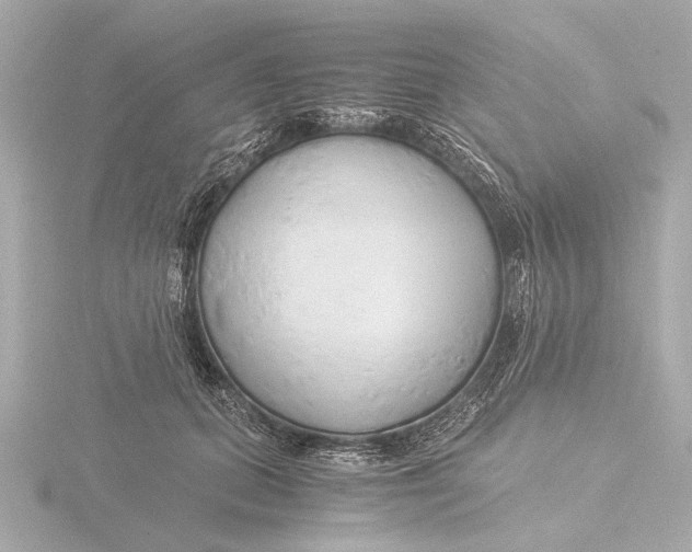 X0000116390655200912231110