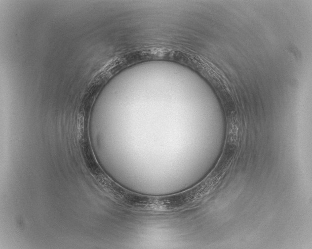 X0000116390656200912231110